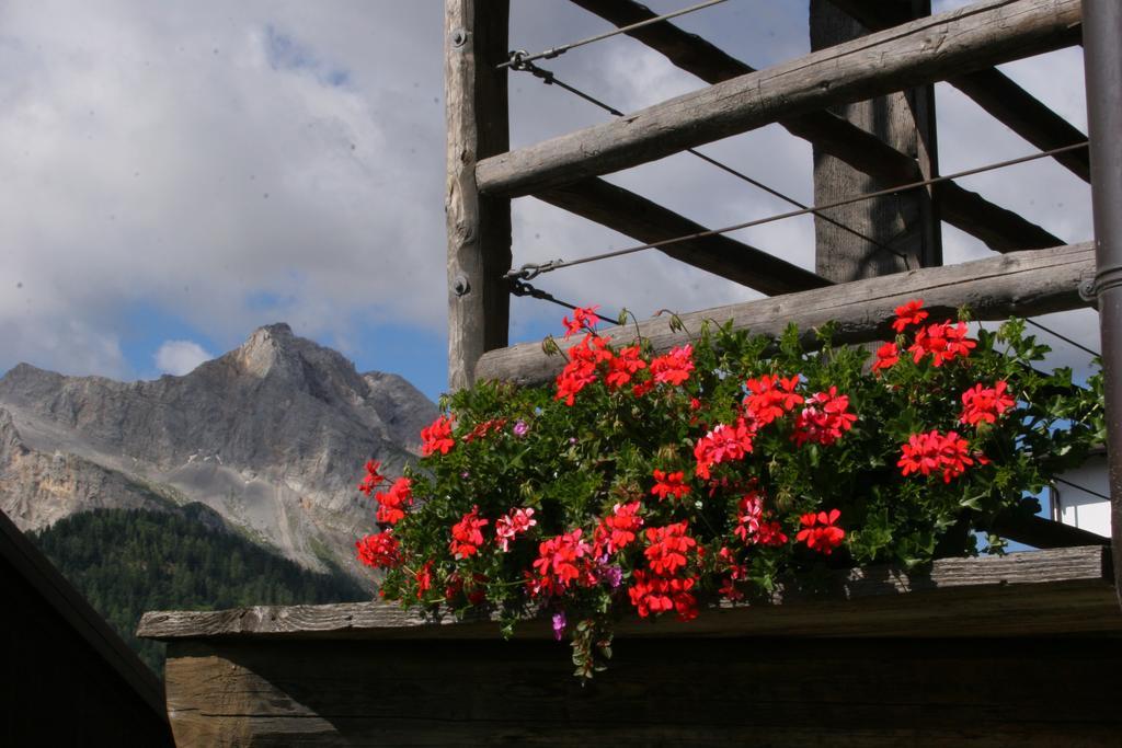 Albergo Diffuso Sauris In Sauris Di Sopra Exterior photo